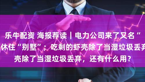 乐牛配资 海报荐读｜电力公司来了又名“25后”：全年无休住“别墅”；吃剩的虾壳除了当湿垃圾丢弃，还有什么用？