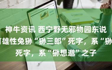 神牛资讯 西宁野无邪物园东说念主工繁育雄性兔狲“狲三郎”死字，系“狲想邈”之子