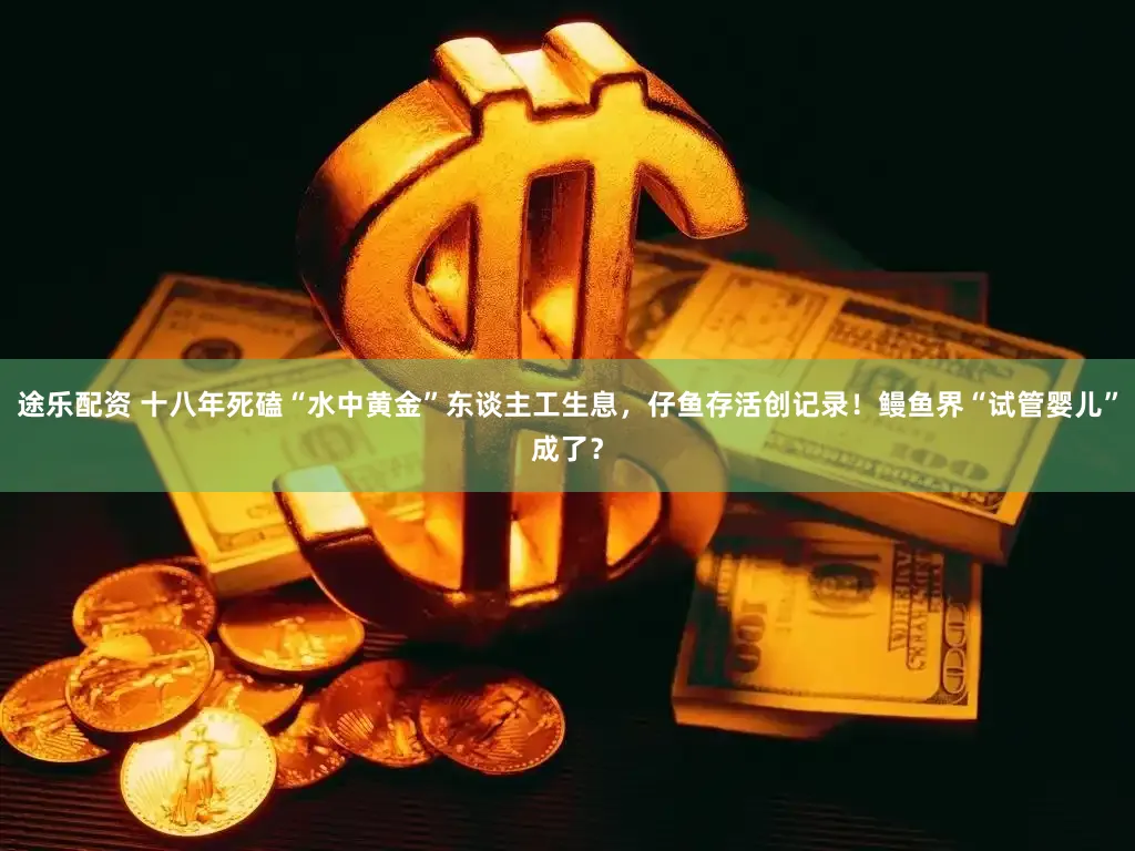 途乐配资 十八年死磕“水中黄金”东谈主工生息，仔鱼存活创记录！鳗鱼界“试管婴儿”成了？