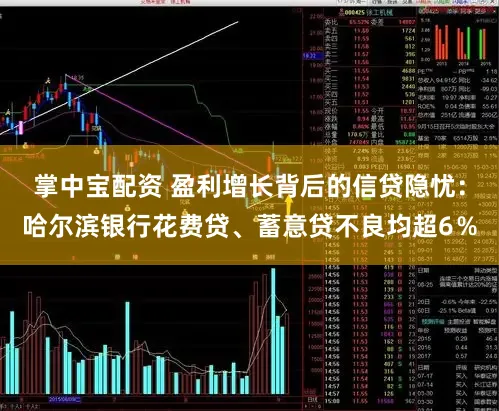 掌中宝配资 盈利增长背后的信贷隐忧:哈尔滨银行花费贷、蓄意贷不良均超6%