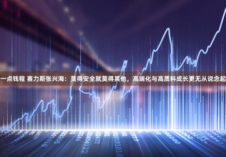 一点钱程 赛力斯张兴海：莫得安全就莫得其他，高端化与高质料成长更无从说念起