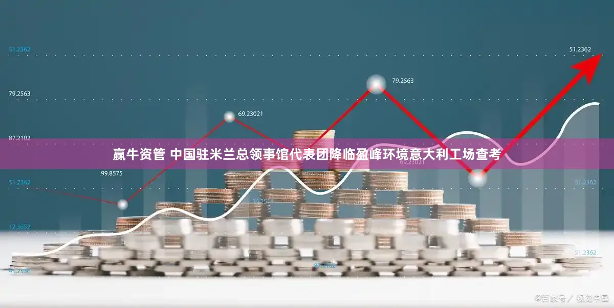 赢牛资管 中国驻米兰总领事馆代表团降临盈峰环境意大利工场查考