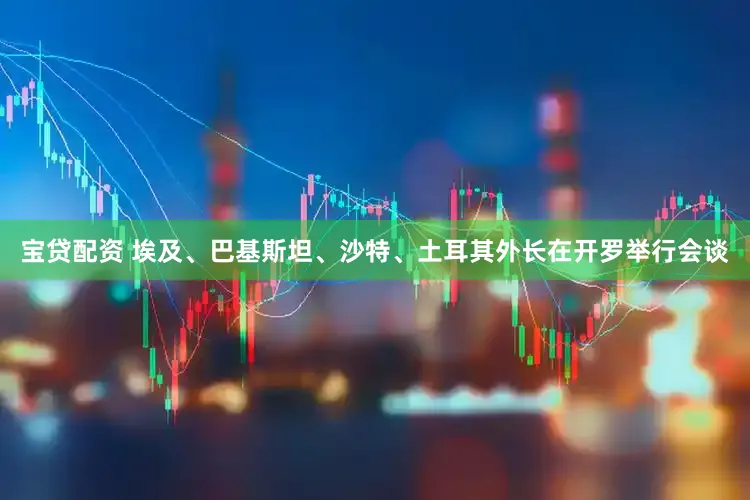 宝贷配资 埃及、巴基斯坦、沙特、土耳其外长在开罗举行会谈